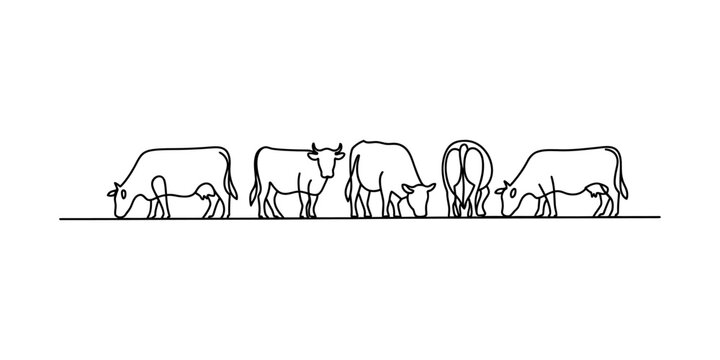 A minimalist black and white line art illustration showing a herd of grazing cows on a field Vector, illustration