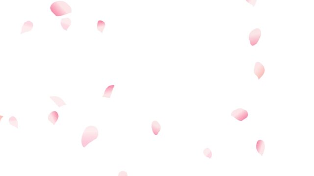 桜の花びら舞う背景アニメーション