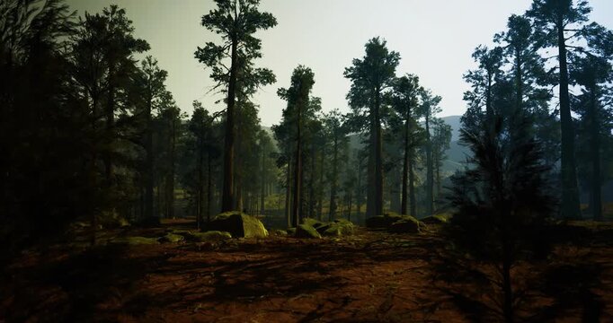 Mountain clearing with panoramic views, Open rocky area with surrounding pine forest, Barren rocky field overlooking distant mountain peaks and trees