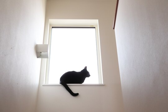 窓辺に座る黒猫と白い空間（ミニマル・ペット・余白あり）