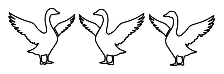 Minimalist goose line art vector set, three white geese with open wings in outline style, simple farm animal silhouettes for rustic branding © ArsiStudio