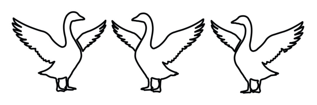 Minimalist goose line art vector set, three white geese with open wings in outline style, simple farm animal silhouettes for rustic branding