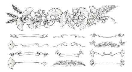 Fototapeta premium Elegant botanical illustrations floral elements and decorative ribbons design