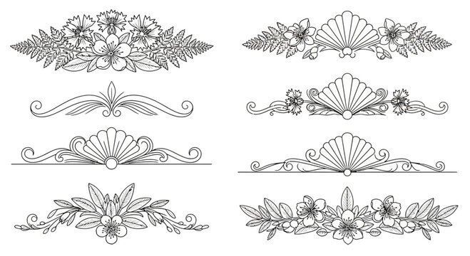 Elegant floral and shell ornaments in vector line art for design elements