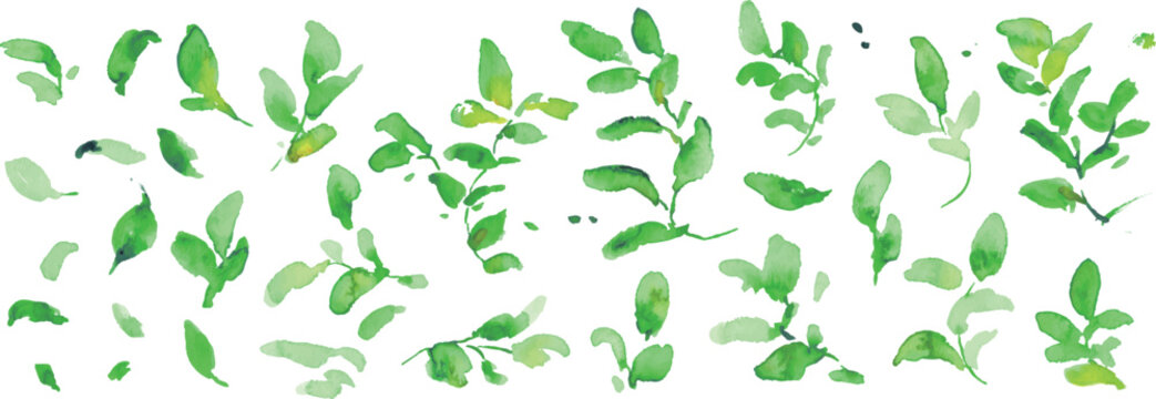 水彩画。水彩タッチの新緑の葉っぱイラスト。緑の葉っぱベクターフレーム。
Watercolor painting. Watercolor-style illustration of fresh green leaves. Green leaf vector frame.
