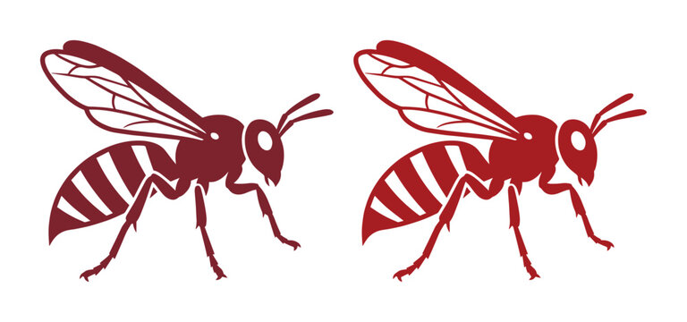 Vintage hornet mascot vector, maroon wasp insect illustration, set of two stylized stinging bee icons for sports team branding and logos