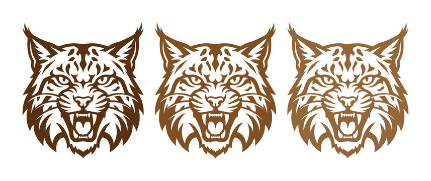 Vintage bobcat head mascot vector set, fierce lynx face illustrations with aggressive expression, wild cat sports team logo collection in brown