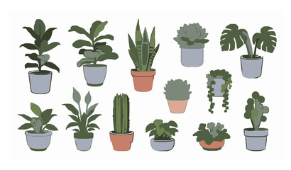 Fototapeta premium Indoor potted plant collection home decor vector illustration