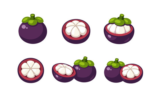 Mangosteen fruit icon set featuring tropical queen of fruits symbols in whole and half-cut versions. Simple flat vector illustration of exotic purple fruit with white segments for food design.
