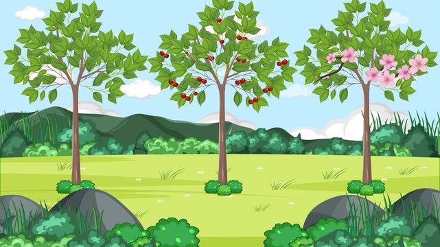 Life cycle of cherry tree animation showing stages from seed to fruit in nature landscape.