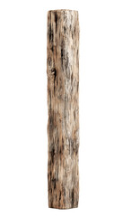Fototapeta premium A wooden log is shown standing upright on the forest floor.