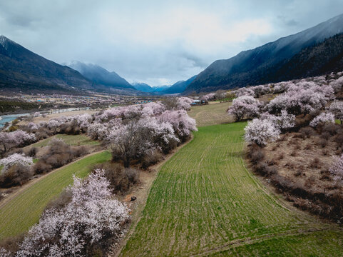 Aerial view of spring landscape in tibet, China