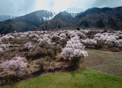 Aerial view of spring landscape in tibet, China