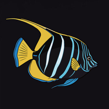 Illustration of a colorful angelfish on black background