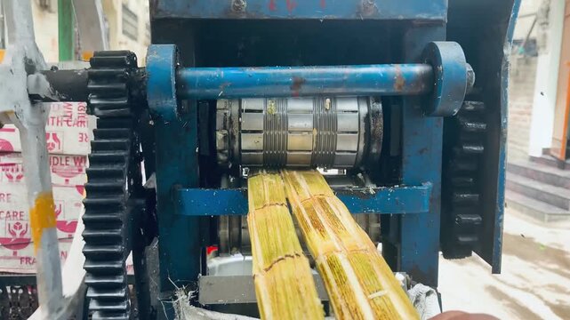 Long strips of processed food material being extruded through rollers, indicating a production process for items like noodles or snack products.