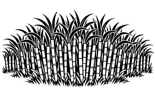 Black and White Line Art Illustration of a Dense Sugarcane Crop Field for Agricultural Designs, Featuring Segmented Stalks and Lush Leaves in a Simple Flat Vector Style for Farming Graphics.