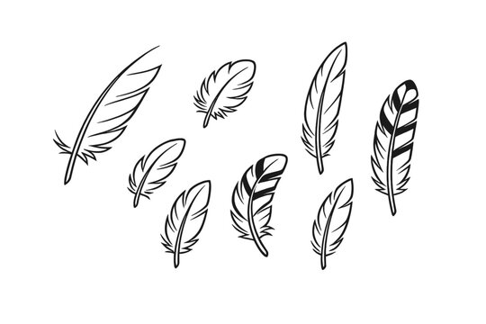 Set of Simple Outline Feathers in a Natural Style, Perfect for Graphic Design Projects, Educational Materials, and Minimalist Illustrations. Black and White Bird Plumage Vector Collection.
