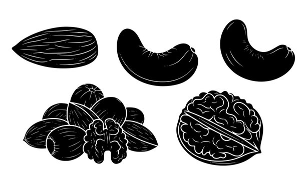 Detailed dry fruits silhouette icon set vector illustration