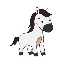 Fototapeta premium Kawaii white horse baby animal design character