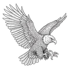 Fototapeta premium A detailed drawing of an eagle with its wings spread wide