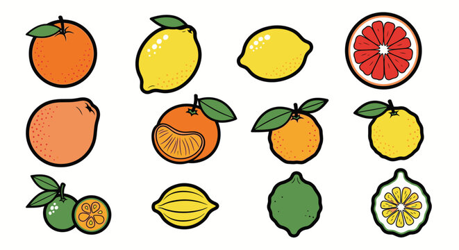 Colorful cartoon citrus fruits collection.