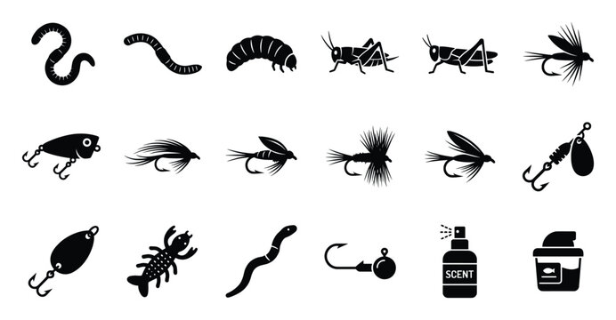 Fishing bait and lure collection showcasing essential tackle for angling activities, perfect for outdoor sports publications, fishing gear advertisements, and recreational hobby content.