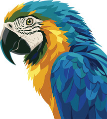 blue and yellow macaw © Habibur