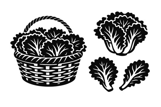 Black and white vector illustration of fresh leafy lettuce heads in a woven wicker basket and individual lettuce leaves, farm-to-table organic vegetable harvest icon for garden and food design.