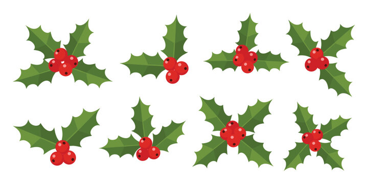 Collection of classic green holly leaves with vibrant red berries perfect for creating festive Christmas and winter holiday seasonal greeting designs, banners, and decor.