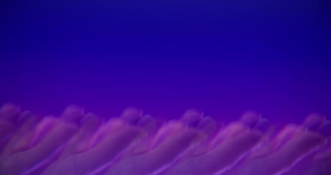 Finger show. Blur neon kaleidoscope. Blue violet abstract background lens flare. Color echo hand optical effect flex art prism.