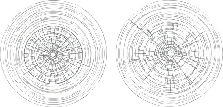 Abstract radial patterns creating a visual representation of data or growth, in grayscale