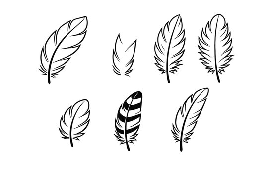 Collection of Simple Black Outline Feathers in a Natural Style, Set of Minimalist Bird Feather Vector Illustrations for Graphic Design, Educational Projects, and Nature-Themed Art Elements.