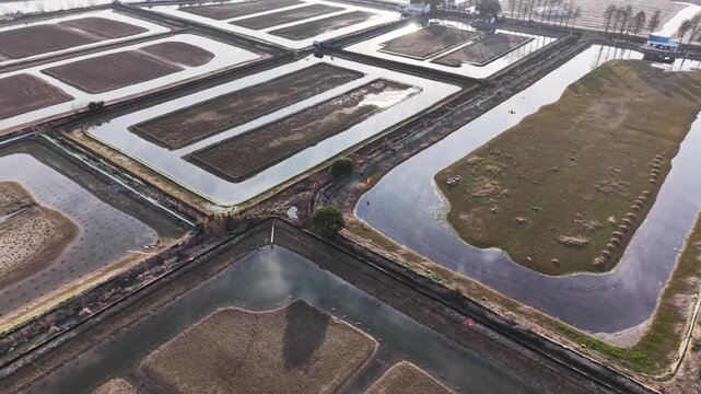 aerial view of water farmland