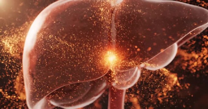 Detailed close-up of a human liver with glowing particles, symbolizing health and vitality