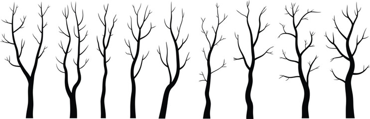 Black bare tree silhouettes against  © MDRAJU