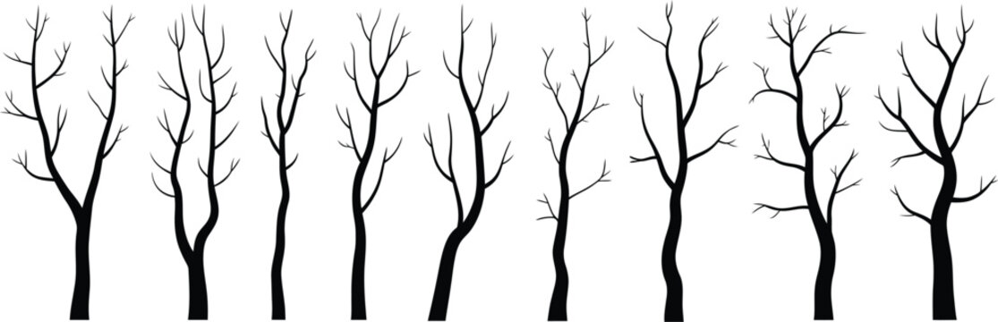 Black bare tree silhouettes against 