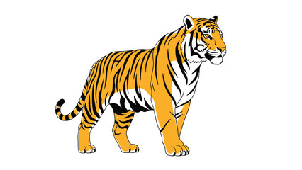 Obraz premium Powerful orange and black striped tiger walking forward with a confident gaze isolated on a clean white background illustration.