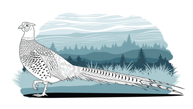 Artistic illustration of male pheasant standing in tall grass with forest and mountain landscape in background for wildlife and nature themes.