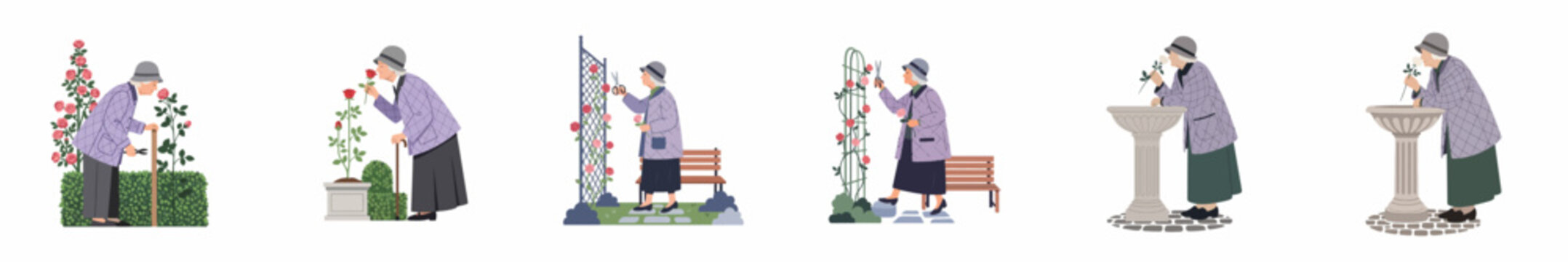 Set of flat illustrations showing an elderly woman gardening, pruning rose bushes, and smelling flowers in a peaceful garden setting.