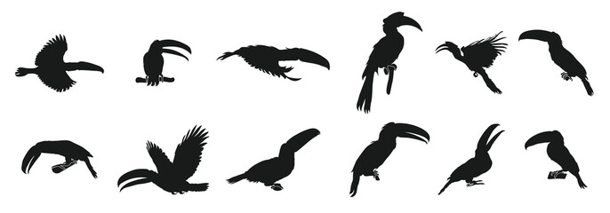  set of hornbill bird animal silhouettes various styles  © Dafne
