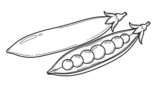 Elegant line drawing of two garden pea pods with one pod split open to reveal a row of round peas and small decorative leaves.