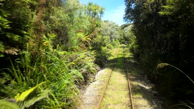 Scenic Train Ride Through Lush Forest