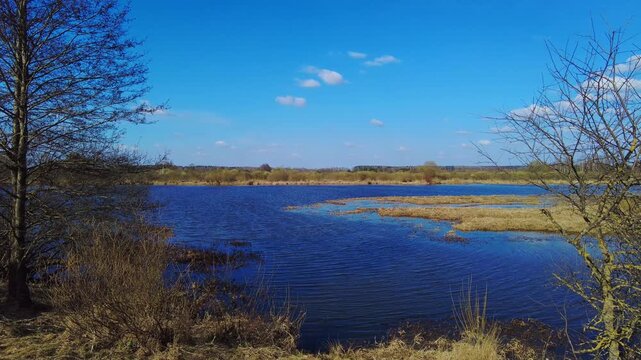 People enjoy time by a lake with clear blue water and bright sky. The area has trees and grass. Birds can be seen flying above the water and trees.