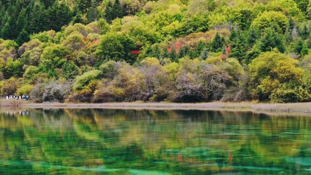 A wide-angle view of Five-Flower Lake (Wuhua Hai) showing the crystal-clear turquoise and green waters reflecting a lush forest of yellow, green, and red autumn leaves.
