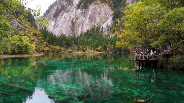 A wide-angle view of Five-Flower Lake (Wuhua Hai) showing the crystal-clear turquoise and emerald waters, submerged ancient tree trunks, and autumn foliage reflecting on the surface.