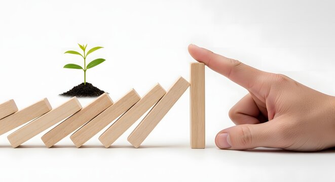 Hand Intervention Preventing Domino Effect to Save Small Plant