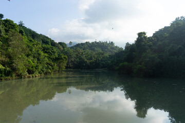Fototapeta premium lake in the forest