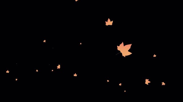 autumn petal overlay with alpha channel leaves blowing from the left. perfect for decoration or ornament like autumn greeting