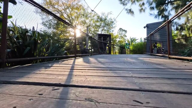 Low angle tracking shot across wooden bridge with golden sunlight flair through lush green trees and foliage.