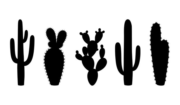 Six gray cactus silhouettes vector set with desert plant shapes isolated on white background for minimal botanical design